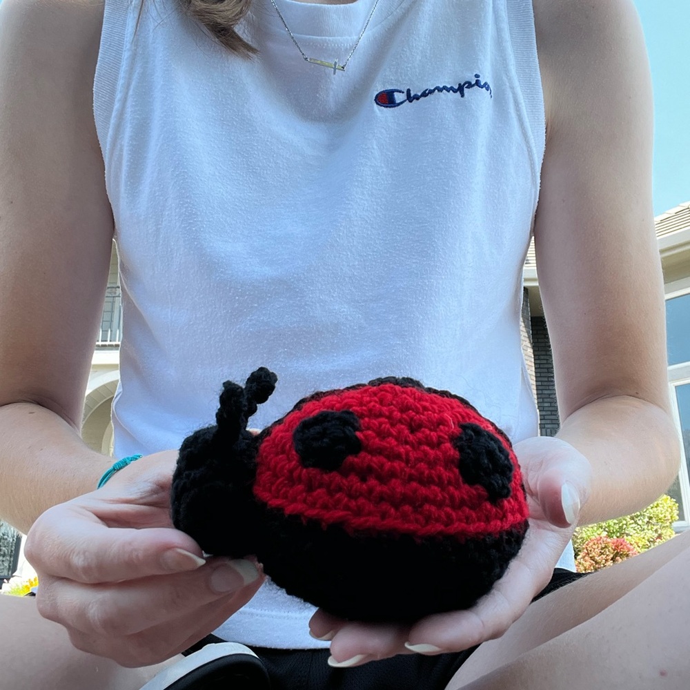Hand Crocheted Little Ladybug Plushie Stuffed Animal! - Picture 4 of 12